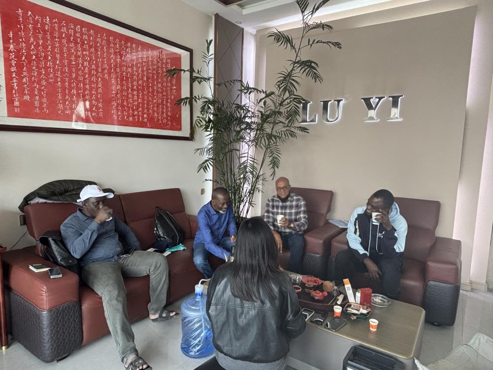 Hvordan Luyi Auto hjalp en nigeriansk byggekunde med at forbedre transport af tungt udstyr med 12 tilpassede 40 tons lavsengs-sættevogne